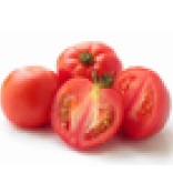 pp tomato
